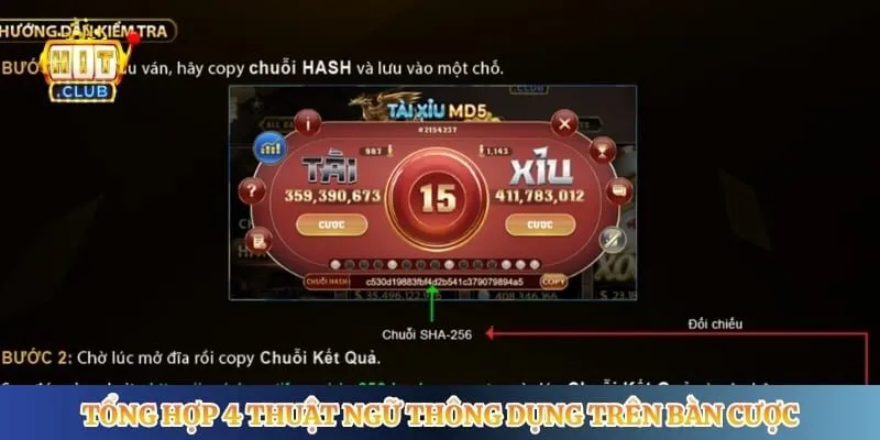 Tổng hợp 4 thuật ngữ thông dụng trên bàn cược 